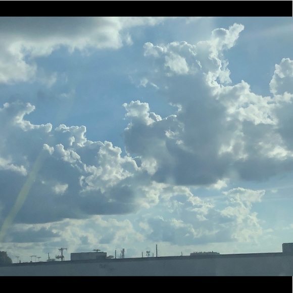 Meet your Posher, Gracey - Picture 1 of 1